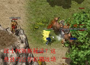 սʿPK��ʤ�ؾ�����Щ��������ư�ս��