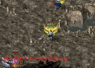 ˭�������»��еĴ���ǿ���᣿