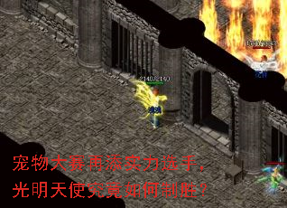 �����������ʵ��ѡ�֣�������ʹ���������ʤ��