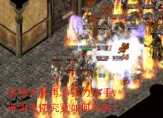 �����������ʵ��ѡ�֣�������ʹ���������ʤ��