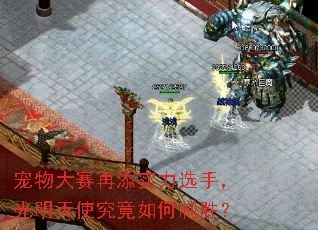 �����������ʵ��ѡ�֣�������ʹ���������ʤ��