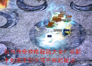 ���봫�湥���ؼ���ȫ�������ֵ������㲻�ɲ�֪���ؾ�