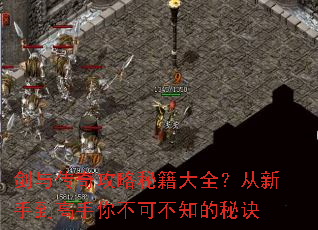 ���봫�湥���ؼ���ȫ�������ֵ������㲻�ɲ�֪���ؾ�