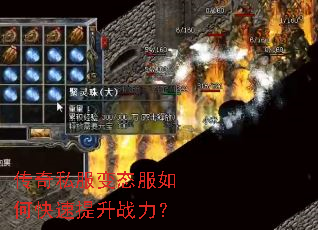 ����˽����̬����ο�������ս����