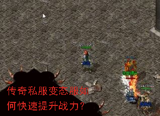 ����˽����̬����ο�������ս����