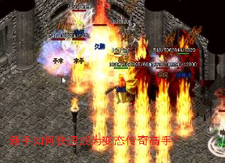 ������ο��ٳ�Ϊ��̬������֣�