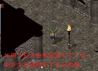 ������ش���ڳ�򲹶�������SFȥ�ڳ�򲹶���װ����