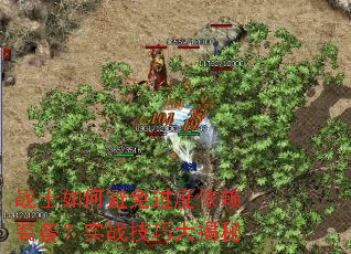 սʿ��α����������װ����ʵս���ɴ����