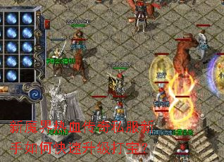 ��ħ����Ѫ����˽��������ο��������򱦣�