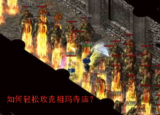 ������ɹ�������������