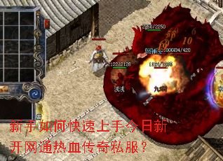 ������ο������ֽ����¿���ͨ��Ѫ����˽����