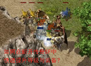 ������¿�����SF�п��������ȼ���װ����