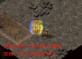 ��Ѫ����ʮ�����Ը߱������ԣ���������ȫ���