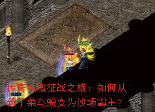 ����˽����ս֮�ã���δ����ֲ����ɱ�Ϊɳ��������