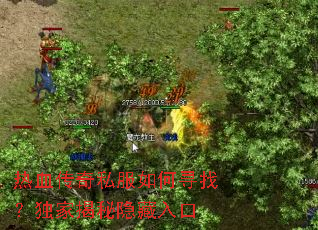 ��Ѫ����˽�����Ѱ�ң����ҽ����������