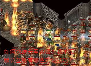 ��ο�������80�����ұ���Ĭ���������Щ�������ɣ�