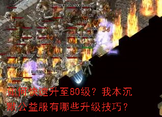 ��ο�������80�����ұ���Ĭ���������Щ�������ɣ�