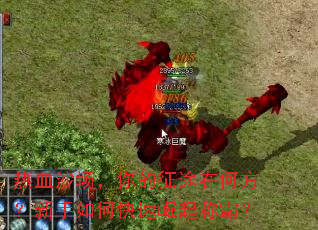 ��Ѫɳ���������;�ںη���������ο�������ưԣ�