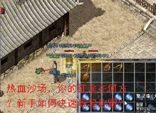 ��Ѫɳ���������;�ںη���������ο�������ưԣ�