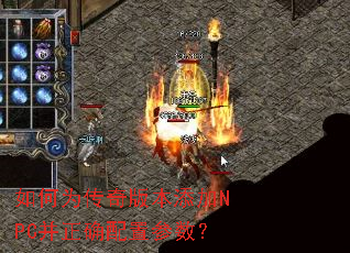 ���Ϊ����汾����NPC����ȷ���ò�����