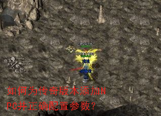 ���Ϊ����汾����NPC����ȷ���ò�����