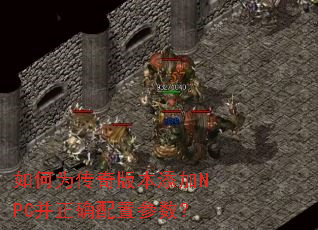 ���Ϊ����汾����NPC����ȷ���ò�����