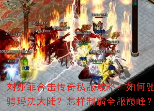 ����ƺϻ�����˽�����ԣ���γ۳��귨��½�������ư�ȫ���۷壿