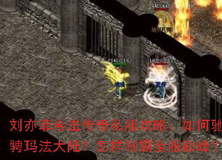 ����ƺϻ�����˽�����ԣ���γ۳��귨��½�������ư�ȫ���۷壿