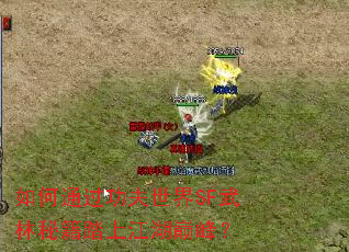 ���ͨ����������SF�����ؼ�̤�Ͻ����۷壿