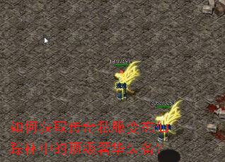 ��λ�ȡ����˽����̬�������еĶ����ݻ�װ����