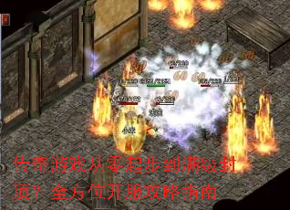 ������Ϸ�����𲽵������ⶥ��ȫ��λ��������ָ��