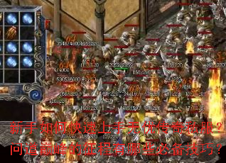 ������ο����������Ŵ���˽�����ʵ��۷����������Щ�ر����ɣ�