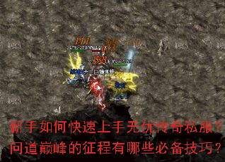 ������ο����������Ŵ���˽�����ʵ��۷����������Щ�ر����ɣ�