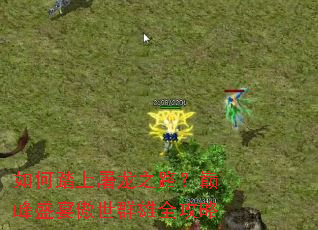 ���̤������֮·���۷�ʢ�����Ⱥ��ȫ����