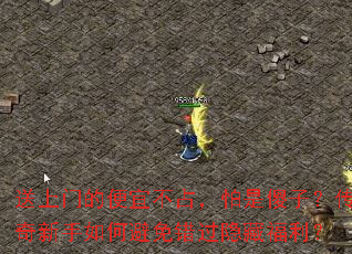 �����ŵı��˲�ռ������ɵ�ӣ�����������α���������ظ�����