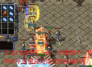 �����ŵı��˲�ռ������ɵ�ӣ�����������α���������ظ�����