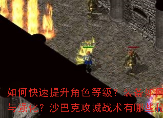 ��ο���������ɫ�ȼ���װ����λ�ȡ��ǿ����ɳ�Ϳ˹���ս������Щ�ؾ���