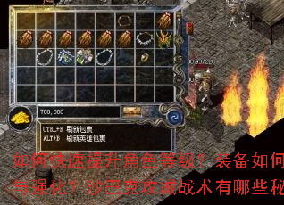 ��ο���������ɫ�ȼ���װ����λ�ȡ��ǿ����ɳ�Ϳ˹���ս������Щ�ؾ���