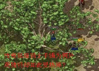 ����˽����ʿ����Ϊ����۶���ȴ�����������