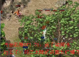 ����˽��SF1.76��������ο������֣��귨��½�����������⿪��