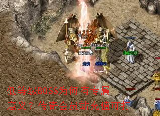 �͵ȼ�BOSSΪ����ר�����壿�����Ավ��ֵ�ɴ�