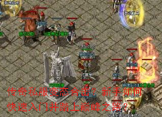 传奇私服变态合击?新手如何快速入门并踏上巅峰之路? 传奇私服变态合击?新手如何快速入门并踏上巅峰之路?