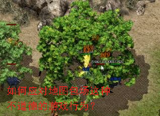 如何应对地图包场这种不道德的游戏行为? 如何应对地图包场这种不道德的游戏行为?