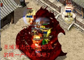 圣域复古传奇中勋章的唯一产地在哪里? 圣域复古传奇中勋章的唯一产地在哪里?