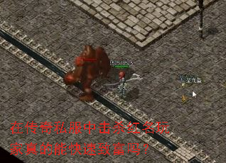 在传奇私服中击杀红名玩家真的能快速致富吗? 在传奇私服中击杀红名玩家真的能快速致富吗?