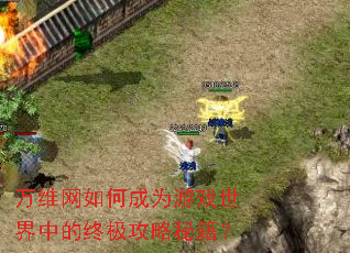 万维网如何成为游戏世界中的终极攻略秘籍? 万维网如何成为游戏世界中的终极攻略秘籍?