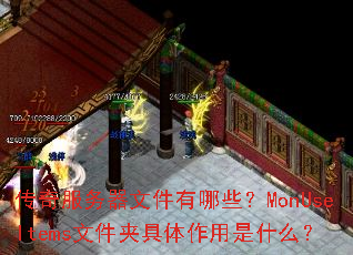 传奇服务器文件有哪些?MonUseItems文件夹具体作用是什么? 传奇服务器文件有哪些?MonUseItems文件夹具体作用是什么?