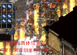 ɳ��NPC����λ�����ģ�����ϸ���깥�ԡ�