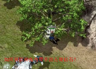 如何获取神鬼传奇手游无限钻石? 如何获取神鬼传奇手游无限钻石?