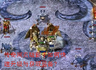 传奇网页版新手如何快速升级与获取装备? 传奇网页版新手如何快速升级与获取装备?